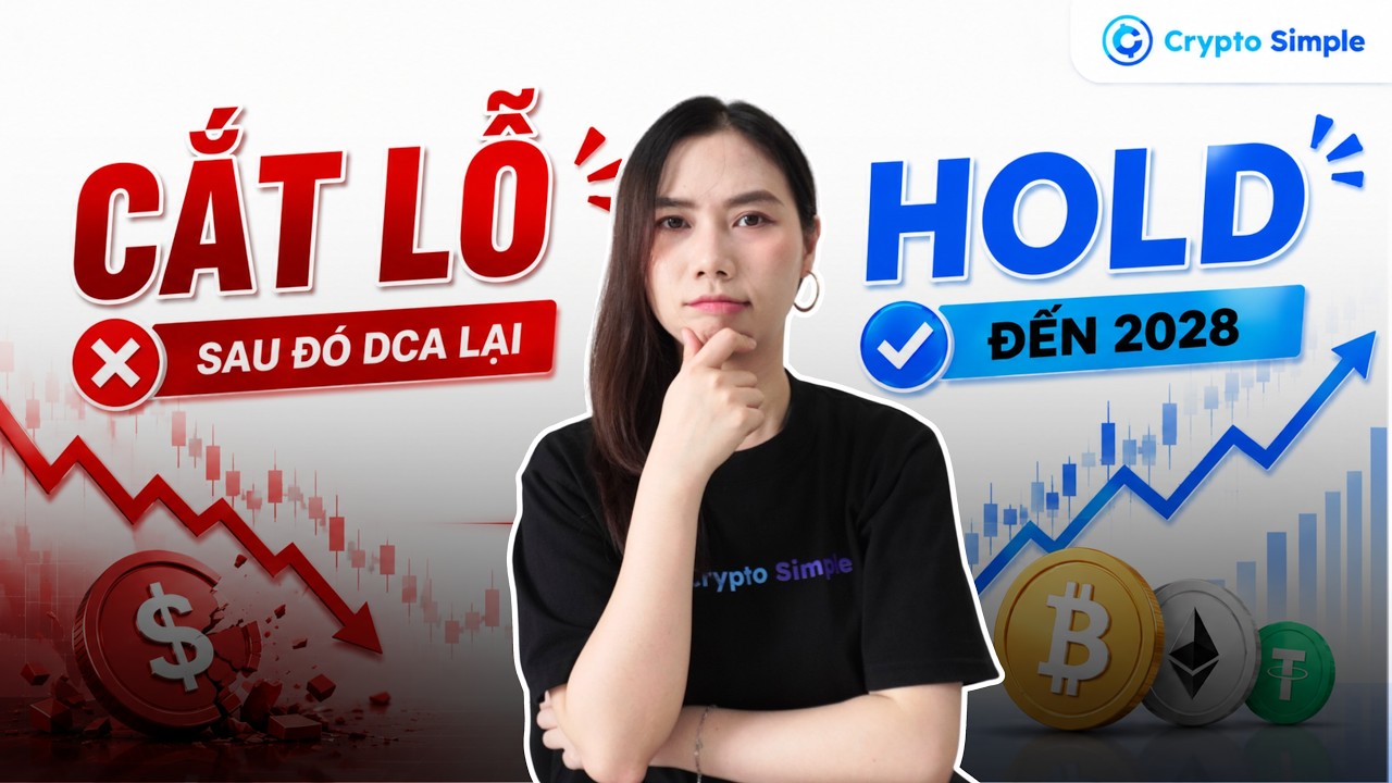 Cắt lỗ chờ bắt đáy hay HOLD đến 2028? Sự thật 80% nhà đầu tư không biết!